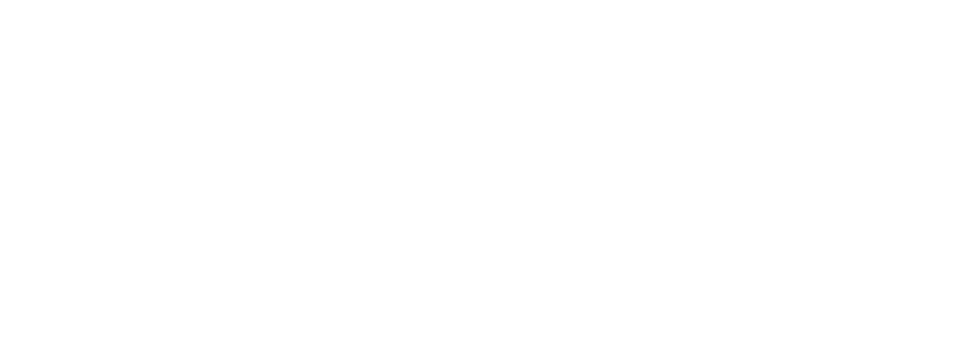 Agnes Medical